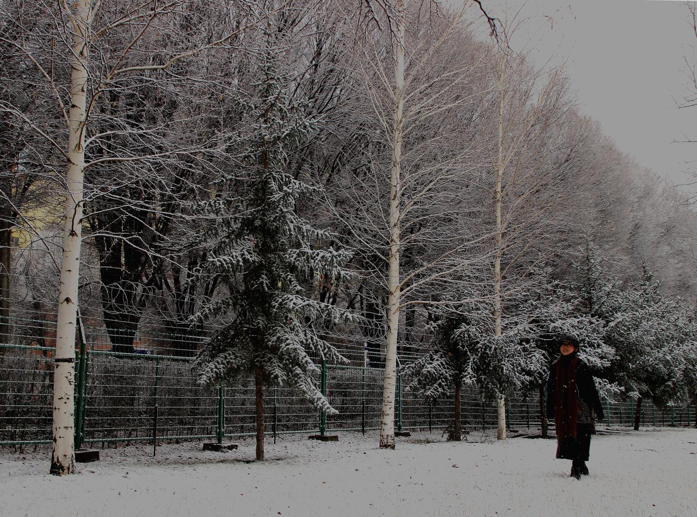 新疆裕民县：初冬雪景美