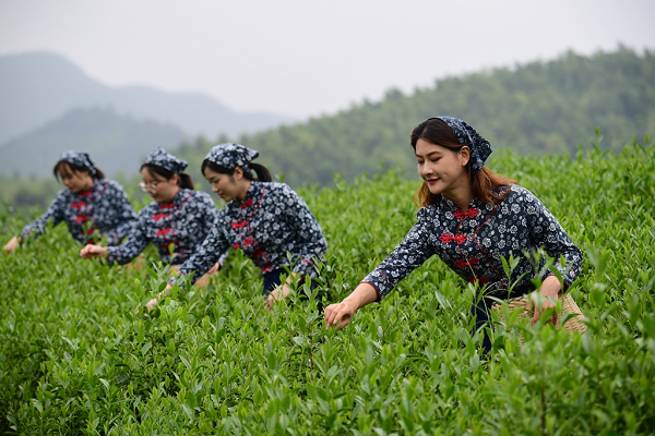 稻花香里说丰年 2021“丰收中国万里行”大型宣推活动走进江苏宜兴